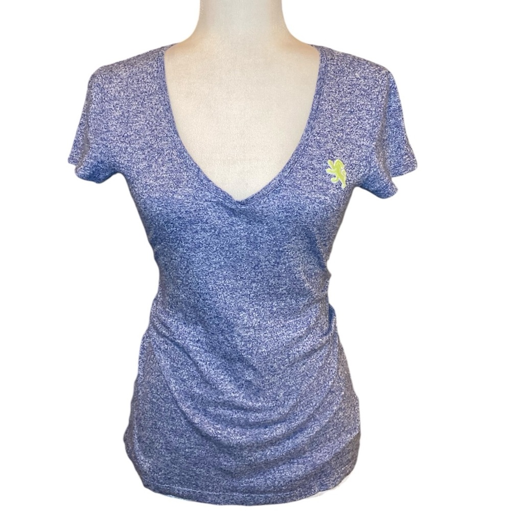 Express vneck shirt